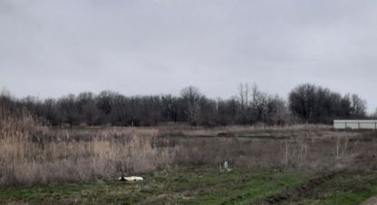 Купить земельный участок в г. Краснослободск. Фотография №3 Купить земельный участок в г. Краснослободск. Фотография №3