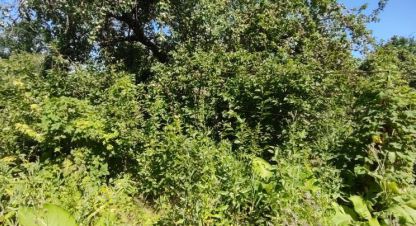 Купить коттедж/дачу 2-х комнатную, 24.3 кв. м., Россия, г. Волжский. Фотография №9