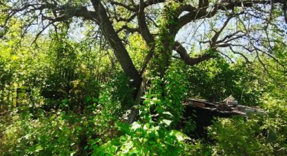 Купить коттедж/дачу 2-х комнатную, 24.3 кв. м., Россия, г. Волжский. Фотография №10