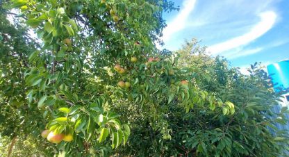 Продам коттедж/дачу 2-х комнатную с общей площадью 12м2, на улице 54-я, г. Волжский, Волгоградская обл., Россия, агентство Живем Дома. Фотография №1