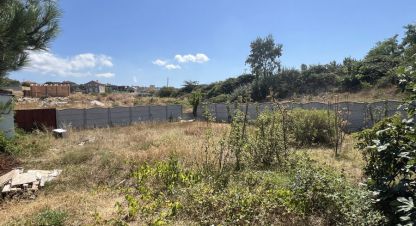 Купить земельный участок в г. Севастополь. Фотография №2 Купить земельный участок в г. Севастополь. Фотография №2