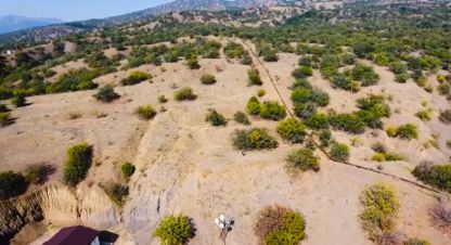 Продаётся земельный участок в г. Приветное . Фотография №7