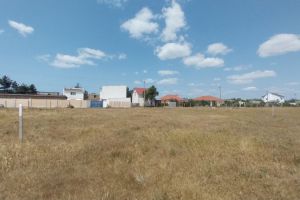 Продам земельный участок, г. Молочное с, Крым авт. респ., Россия, агентство АН "Домус" Продам земельный участок, г. Молочное с, Крым авт. респ., Россия, агентство АН "Домус"