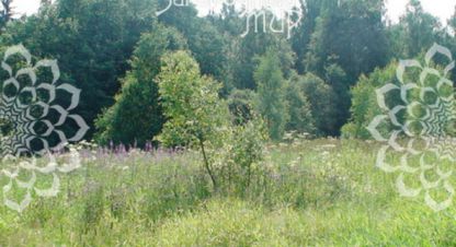 Купить земельный участок на улице Снт малинки г. Чубарово. Фотография №5