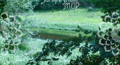 Продаётся земельный участок в г. Чубарово. Фотография №7