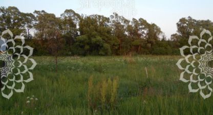 Купить земельный участок в г. Сенькино. Фотография №2 Купить земельный участок в г. Сенькино. Фотография №2