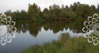 Купить земельный участок на улице Д старово г. Сенькино. Фотография №4 Купить земельный участок на улице Д старово г. Сенькино. Фотография №4