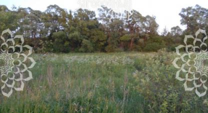 Купить земельный участок в г. Сенькино. Фотография №3 Купить земельный участок в г. Сенькино. Фотография №3