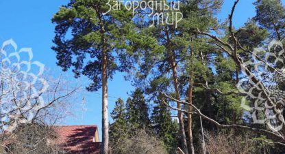 Купить земельный участок в г. Свердловский. Фотография №2 Купить земельный участок в г. Свердловский. Фотография №2