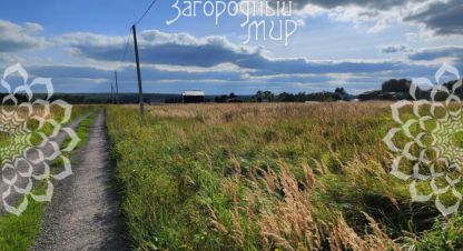 Купить земельный участок в г. Заворово. Фотография №3 Купить земельный участок в г. Заворово. Фотография №3