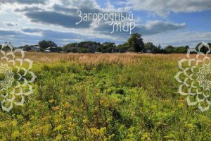 Продам земельный участок, на улице Калужская, г. Заворово, Калужская обл., Россия, агентство АН Загородный Мир 