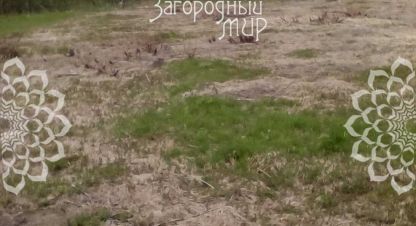 Купить земельный участок, Россия, г. Алексейково д.. Фотография №8