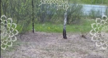 Продам земельный участок, на улице Московская, г. Алексейково д., Московская обл., Россия, агентство АН Загородный Мир . Фотография №1