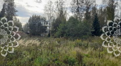 Купить земельный участок в г. Мураново. Фотография №3
