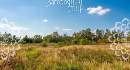 Продам земельный участок, на улице Московская, г. Ногинск, Московская обл., Россия, агентство АН Загородный Мир . Фотография №1