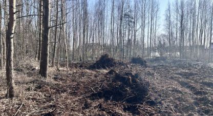 Продаётся земельный участок в г. Озерки(первомайская). Фотография №7 Продаётся земельный участок в г. Озерки(первомайская). Фотография №7