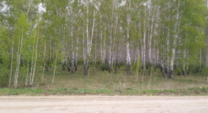 Купить земельный участок в г. Ключи. Фотография №2