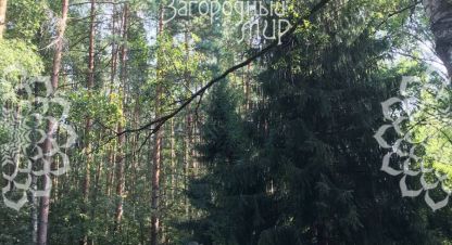 Купить земельный участок, Россия, г. Падиково. Фотография №8