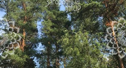 Купить земельный участок г. Падиково. Фотография №5