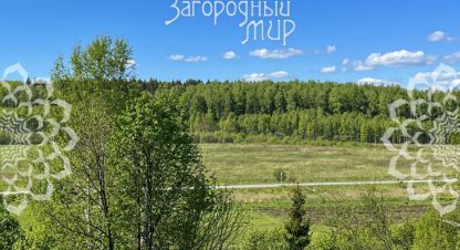 Купить земельный участок г. Ефимовка. Фотография №5 Купить земельный участок г. Ефимовка. Фотография №5