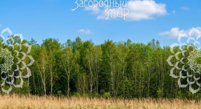 Продаётся земельный участок в г. Ефимовка. Фотография №6 Продаётся земельный участок в г. Ефимовка. Фотография №6