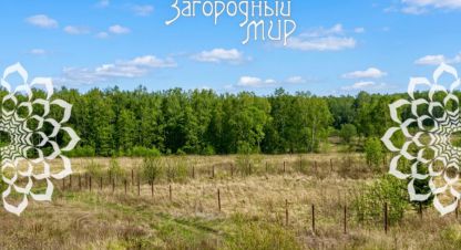 Купить земельный участок. Фотография №1 Продам земельный участок, г. Ефимовка, Московская обл., Россия, агентство АН Загородный Мир . Фотография №1
