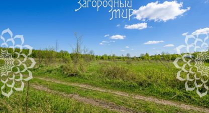 Купить земельный участок г. Ефимовка. Фотография №4 Купить земельный участок г. Ефимовка. Фотография №4
