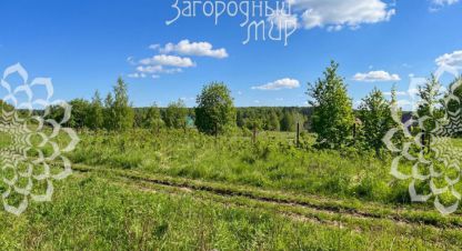 Купить земельный участок в г. Ефимовка. Фотография №3 Купить земельный участок в г. Ефимовка. Фотография №3