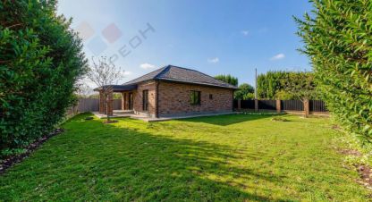 Купить дом 4-х комнатную, 130 кв. м. Фотография №1 Продам дом 4-х комнатный с общей площадью 130м2, на улице Камышовая ул, Прикубанский окр район, г. Ленина х, Краснодарский край, Россия, агентство Мореон Инвест. Фотография №1