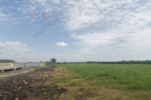 Продам земельный участок, на улице Крайняя, г. Новотитаровская ст-ца, Краснодарский край, Россия, агентство Мореон Инвест