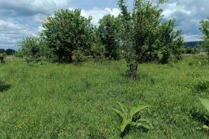 Продам земельный участок, на улице Полевая ул, г. Апшеронск, Краснодарский край, Россия, агентство Мореон Инвест
