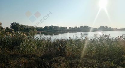 Продам земельный участок, на улице Льва толстого ул, г. Ивановская ст-ца, Краснодарский край, Россия, агентство Мореон Инвест. Фотография №1
