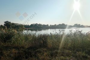 Продам земельный участок, на улице Льва толстого ул, г. Ивановская ст-ца, Краснодарский край, Россия, агентство Мореон Инвест
