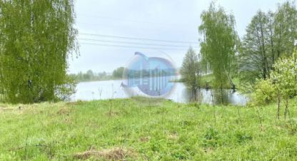 Купить земельный участок, Россия, г. Панино д.. Фотография №10