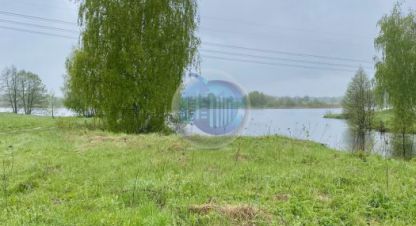 Купить земельный участок, Россия, г. Панино д.. Фотография №9