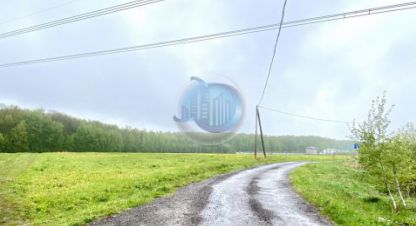 Продам земельный участок, г. Панино д., Московская обл., Россия, агентство MaxRealty. Фотография №1