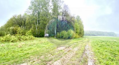 Продаётся земельный участок в г. Панино д.. Фотография №6
