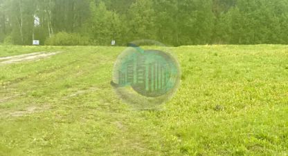Купить земельный участок в г. Панино д.. Фотография №3