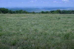 Продам земельный участок, на улице Тер  х  зайчики, Кировский район, г. Волгоград, Волгоградская обл., Россия, агентство Агентство недвижимости "Партнёр"