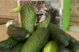 Продам коттедж/дачу 5-ти комнатную с общей площадью 436м2, на улице Шлюзовая, г. Софьино с., Московская обл., Россия, агентство Джойнио