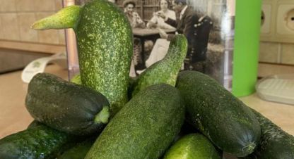 Продам коттедж/дачу 5-ти комнатную с общей площадью 436м2, на улице Шлюзовая, г. Софьино с., Московская обл., Россия, агентство Джойнио. Фотография №1