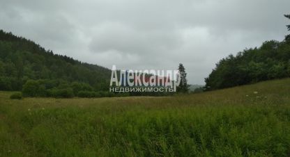 Купить земельный участок в г. Мийнальское сельское поселение. Фотография №2
