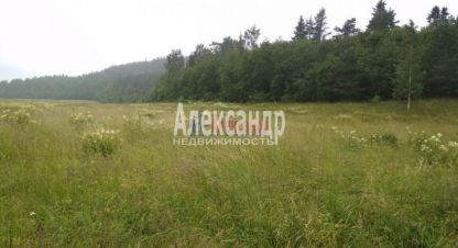 Купить земельный участок в г. Мийнальское сельское поселение. Фотография №3