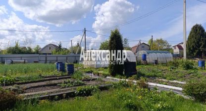 Купить коттедж/дачу в г. Сосновый Бор. Фотография №3 Купить коттедж/дачу в г. Сосновый Бор. Фотография №3