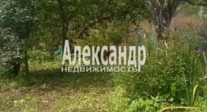 Купить дом 1 комнатную, 33.2 кв. м., Россия, г. Ясно. Фотография №9