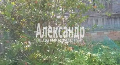 Купить 1 комнатную дом на улице Псковская г. Ясно. Фотография №4