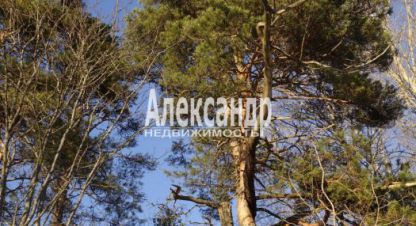 Купить дом 3-х комнатную, 112 кв. м. Фотография №8 Купить дом 3-х комнатную, 112 кв. м., Россия, г. Посёлок микли. Фотография №8