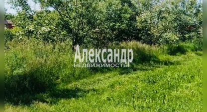 Купить земельный участок в г. Коммунар. Фотография №2