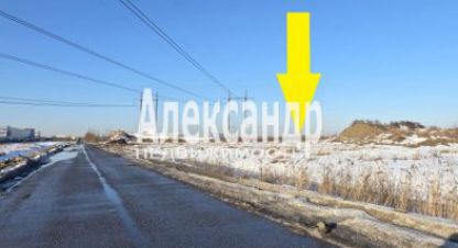 Продам земельный участок, на улице Санкт-петербурпушкинский  посёлок шушары территория отделение бадаевское участок, Пушкинский район, г. Посёлок шушары, Санкт-Петербург, Россия, агентство Александр-Недвижимость. Фотография №1