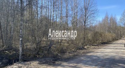 Продам земельный участок, на улице Ленинградская выборновопоселковая, Выборгский район, г. Выборг, Ленинградская обл., Россия, агентство Александр-Недвижимость. Фотография №1